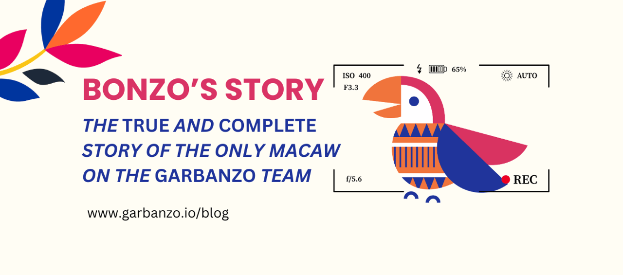 Bonzo Blog